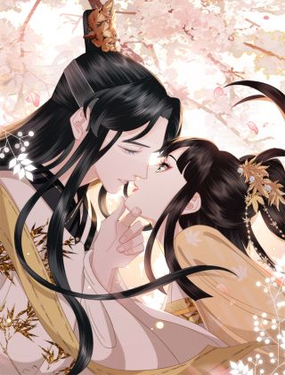 wuliandianfeng-pikapi