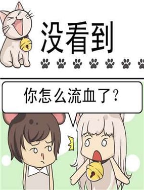 wuliandianfeng-pikapi