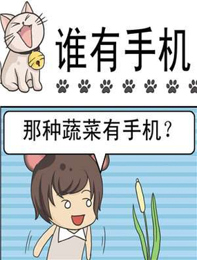 wuliandianfeng-pikapi