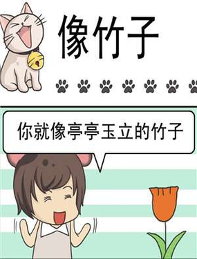 wuliandianfeng-pikapi