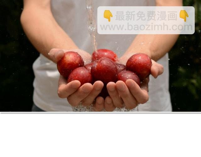 第11期 红李酱+肉桂苹果派风乳酪蛋糕