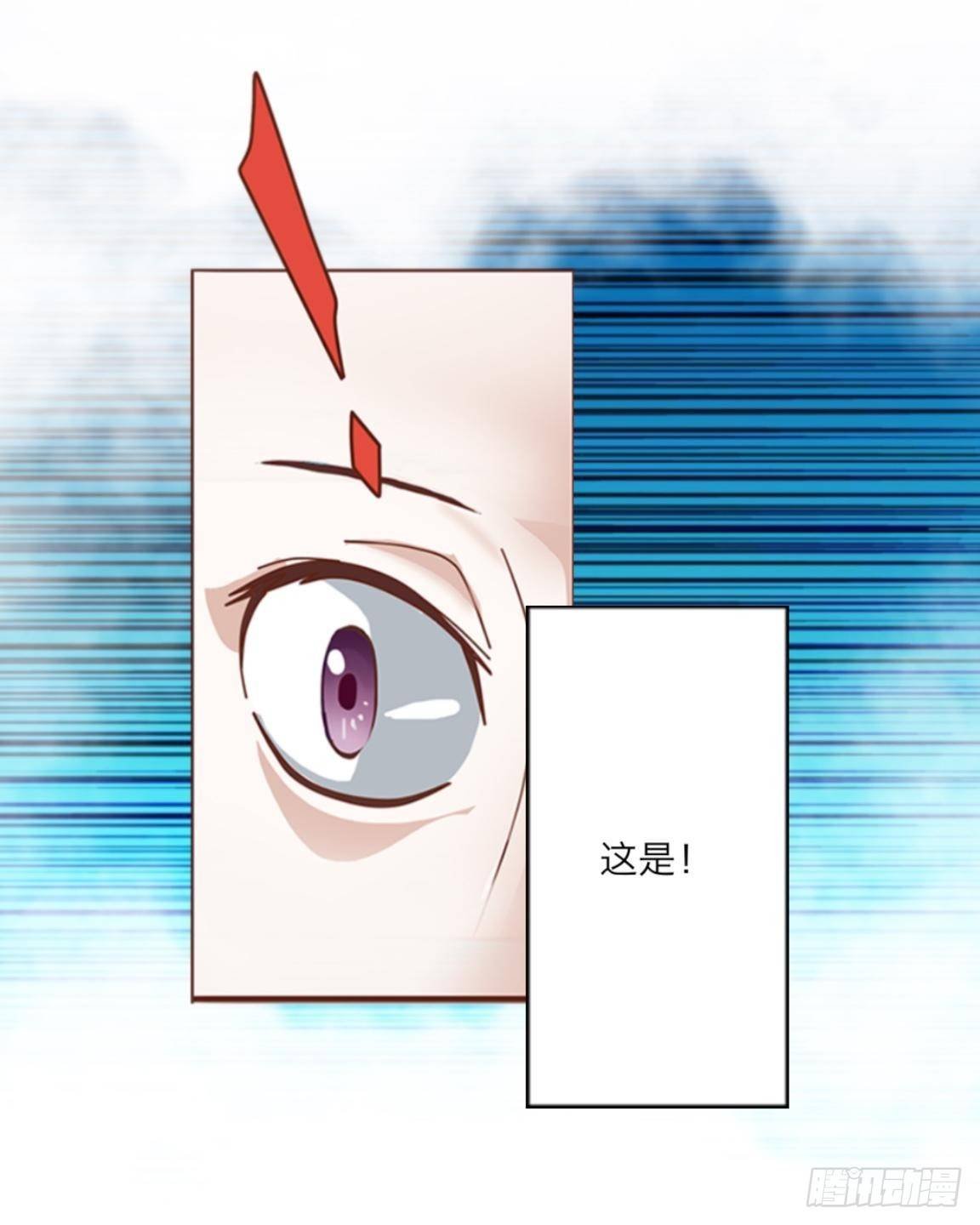 第十三章 新闻发布会
