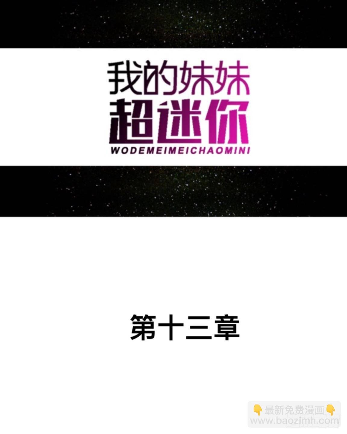 第十三章 新闻发布会