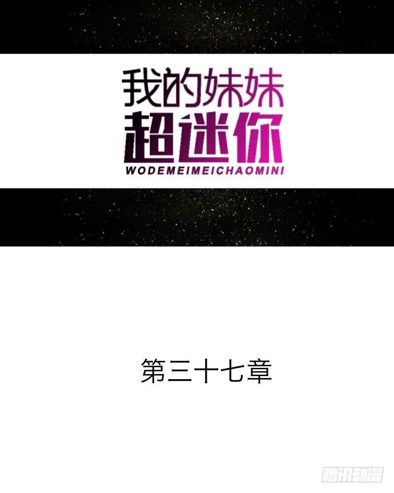 第三十七章 全剧终