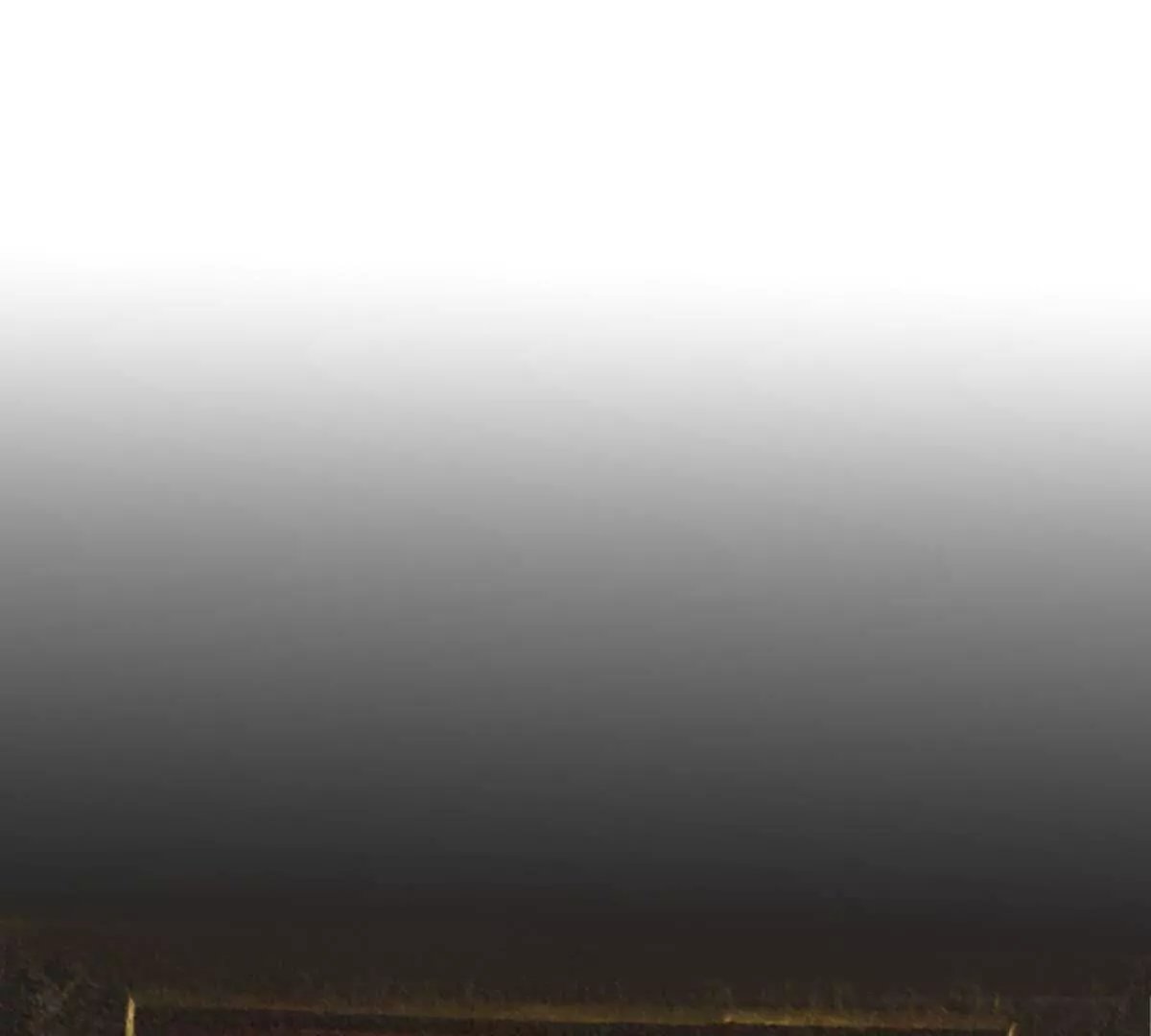 第17话 去酒吧