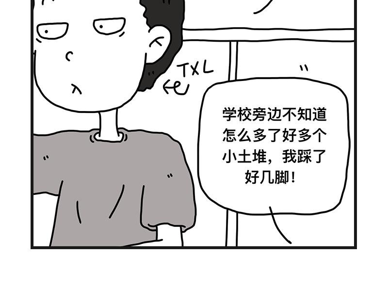 小土堆