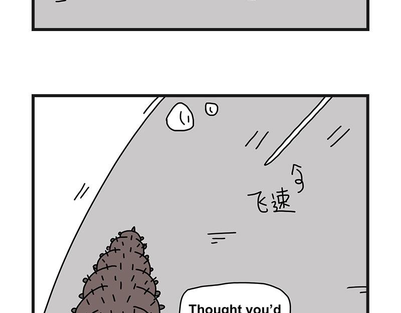 烤肠之日