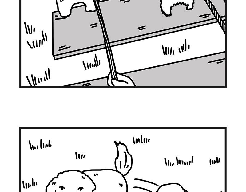 安全感