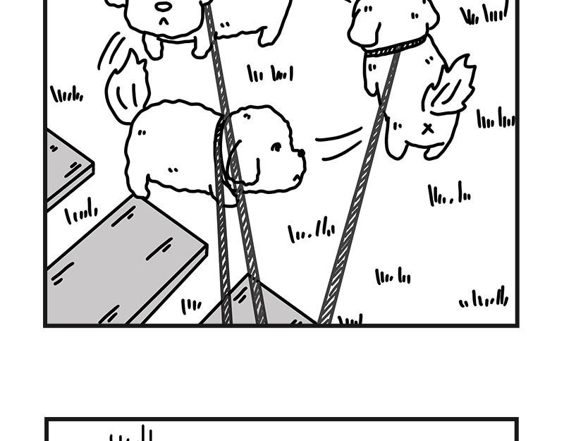 安全感