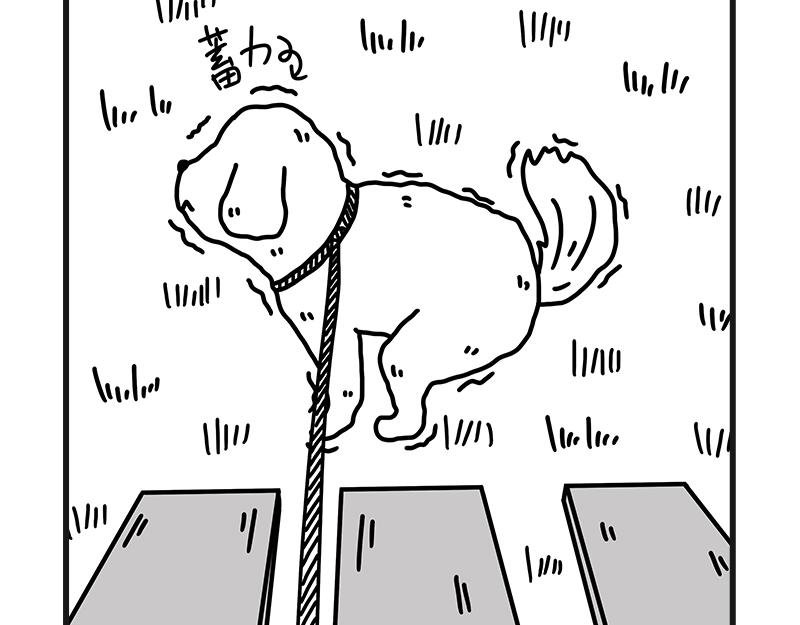 安全感