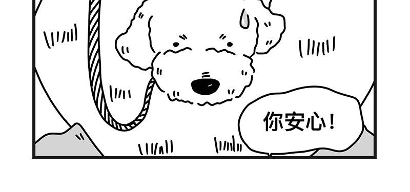 安全感