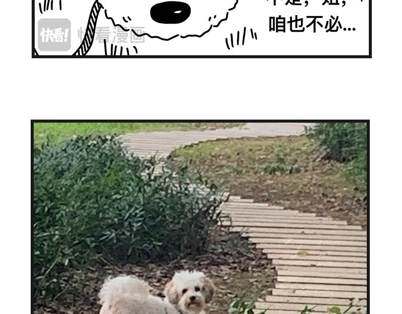 安全感