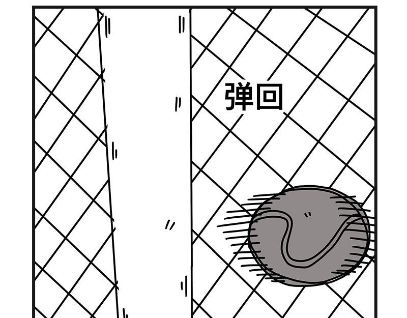 网球sp：断子绝孙球