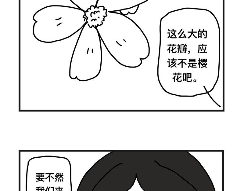 打赌