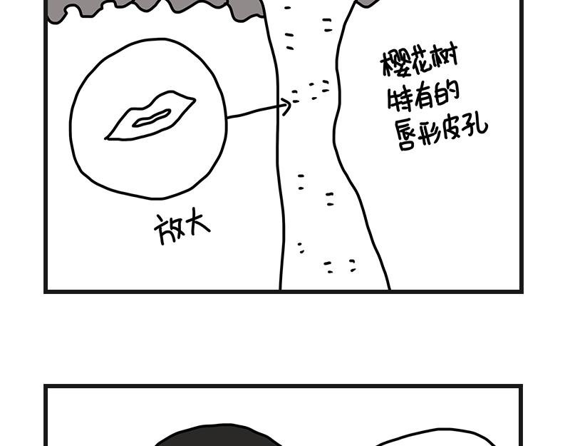 打赌