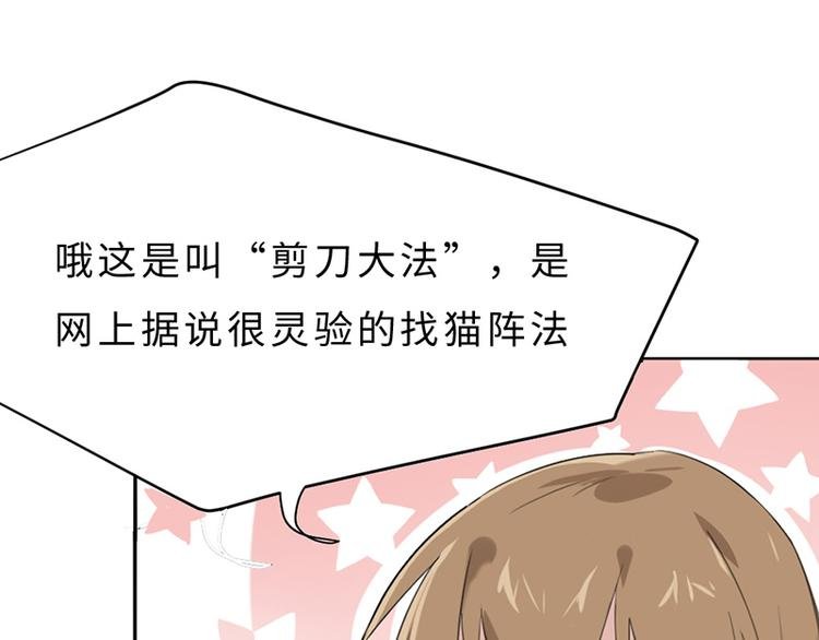 第三话 剪刀寻猫