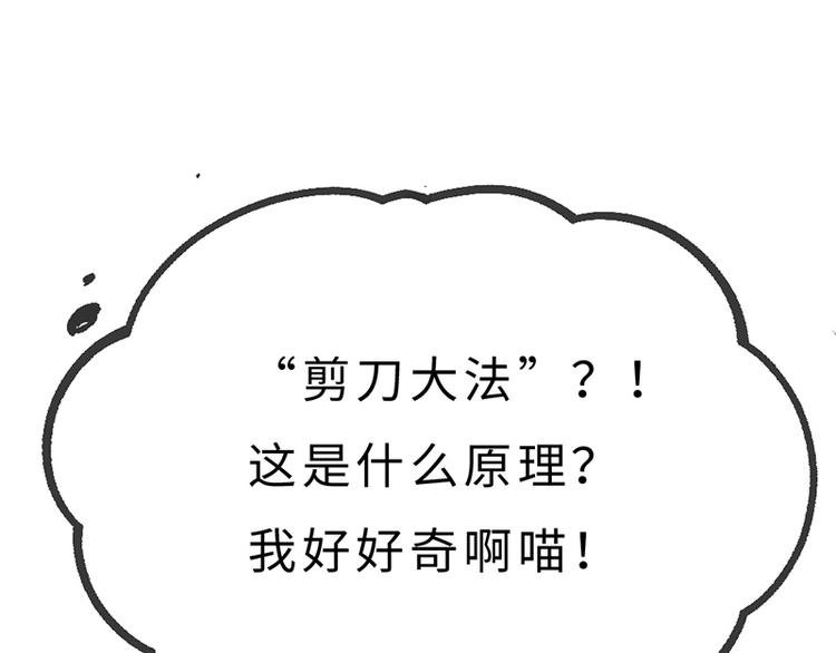 第三话 剪刀寻猫