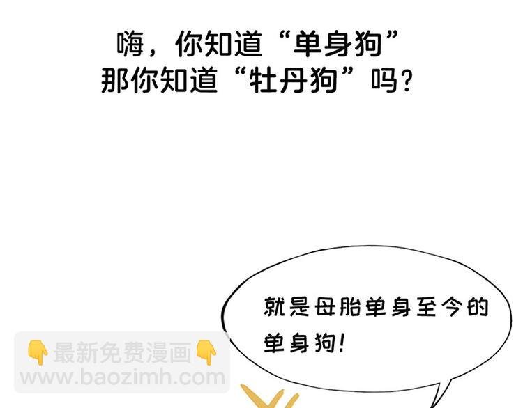 四格1 2.4亿单身狗的来源