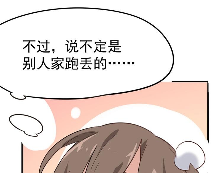 第七话如何区分流浪猫与走失家猫