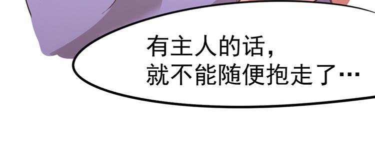 第七话如何区分流浪猫与走失家猫
