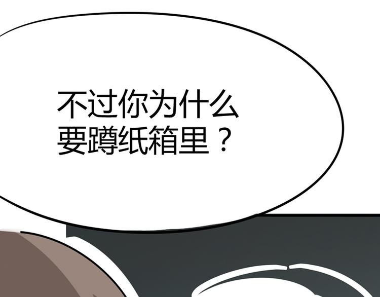 第七话如何区分流浪猫与走失家猫
