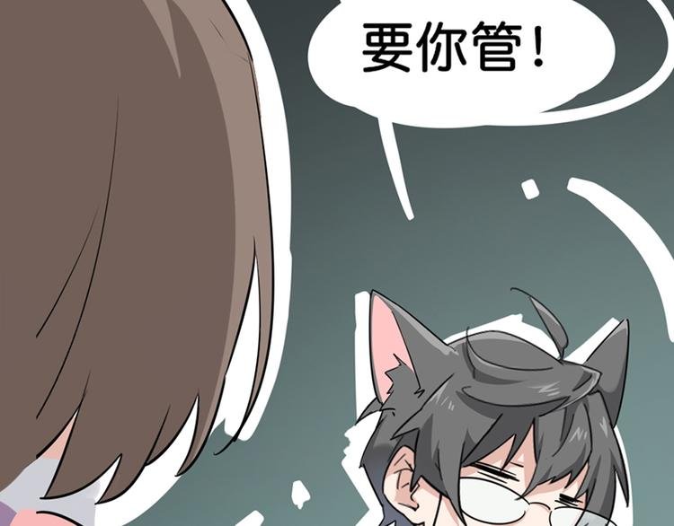 第七话如何区分流浪猫与走失家猫