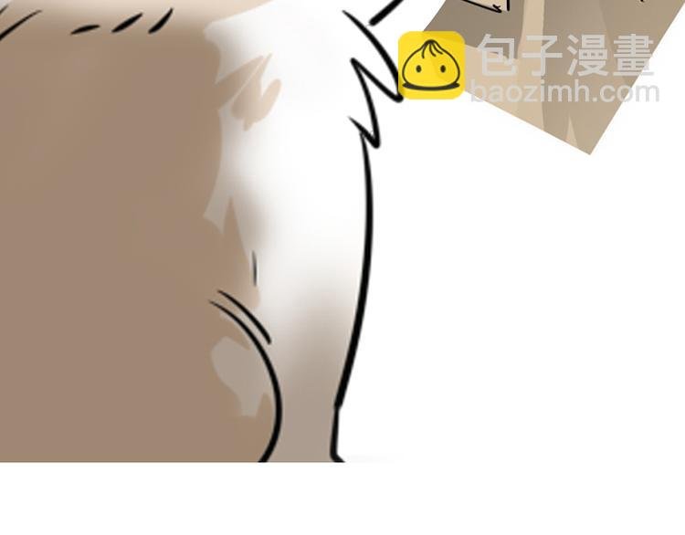 第七话如何区分流浪猫与走失家猫
