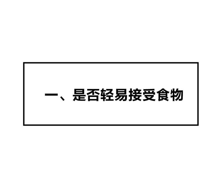 第七话如何区分流浪猫与走失家猫