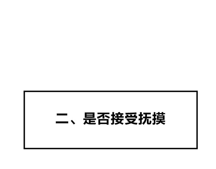 第七话如何区分流浪猫与走失家猫