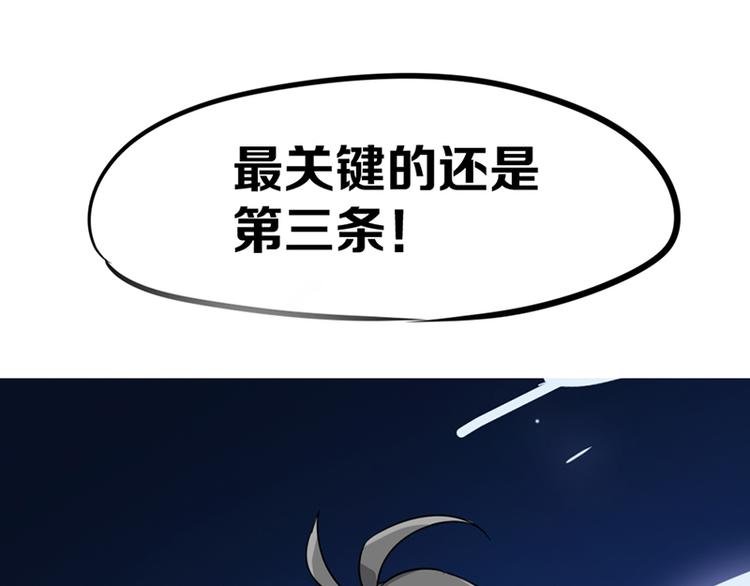 第七话如何区分流浪猫与走失家猫