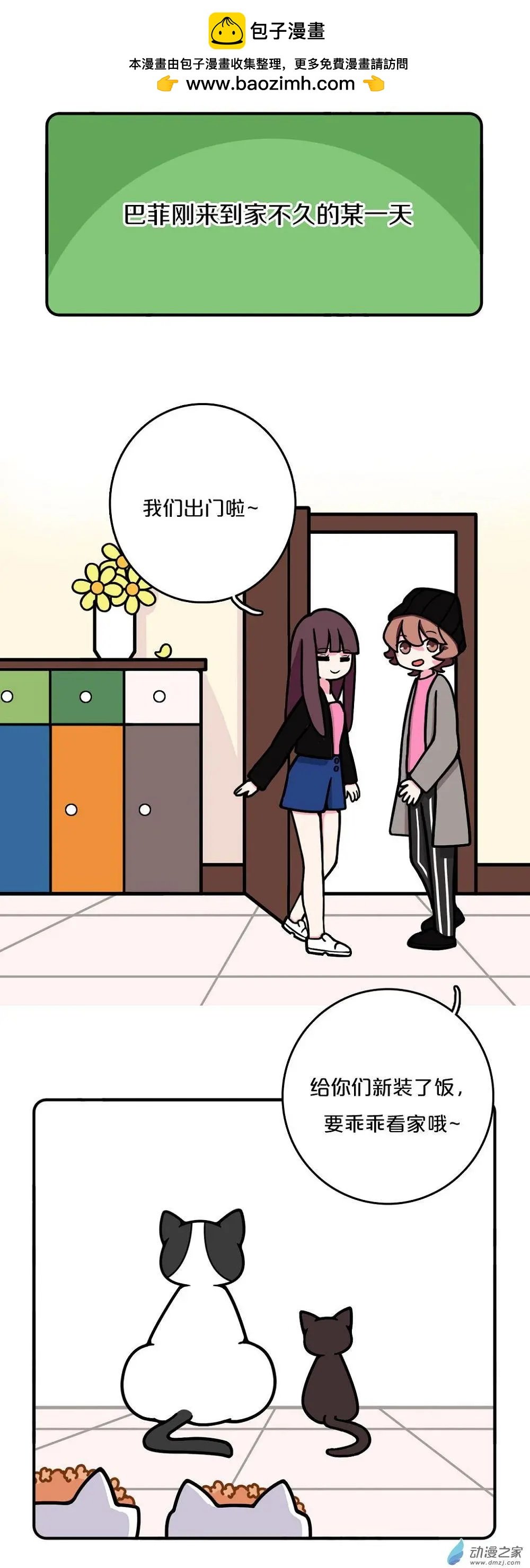 第11回
