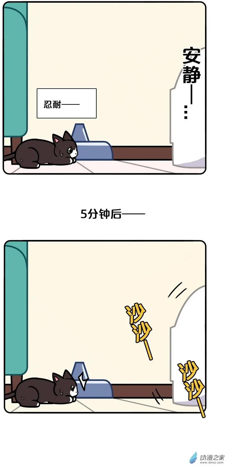 第12回