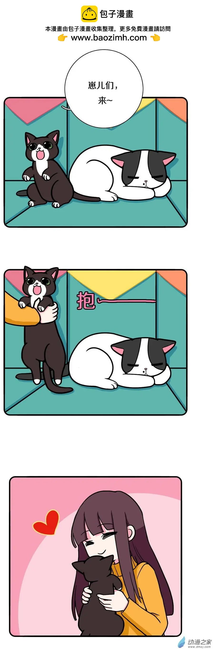 第13回