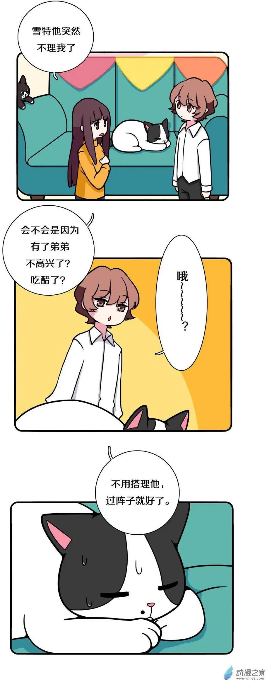 第13回