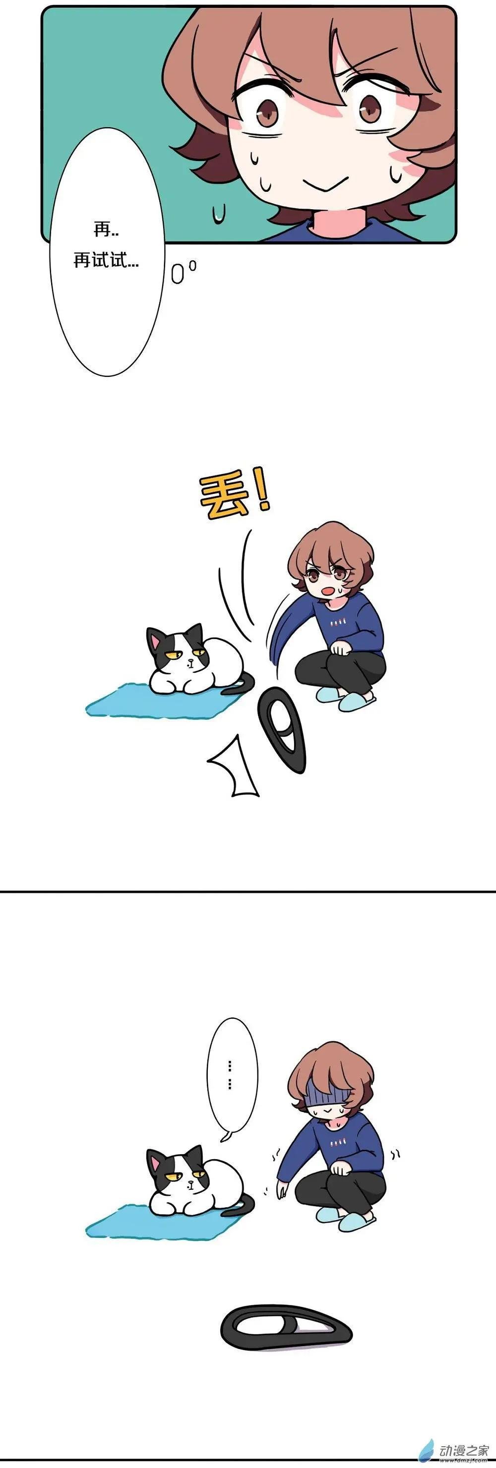 第13回
