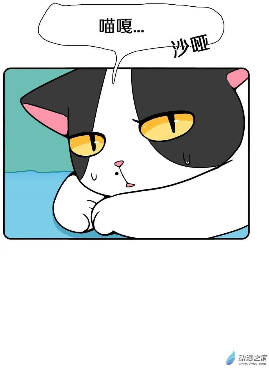 第13回