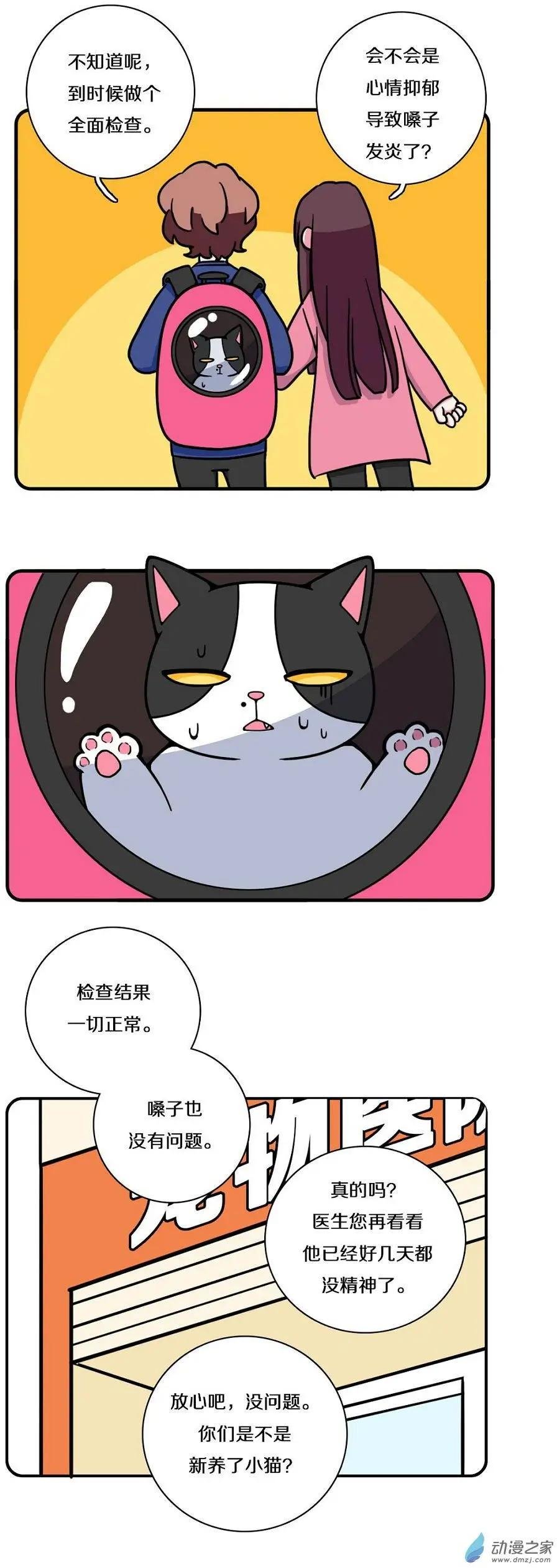 第13回