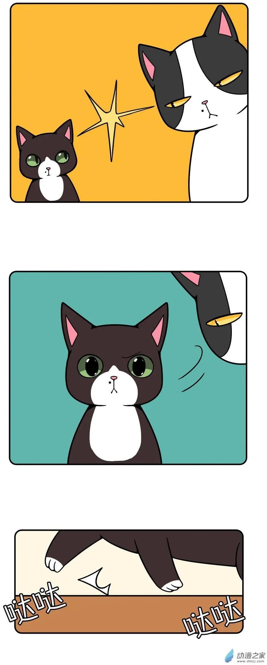 第14回