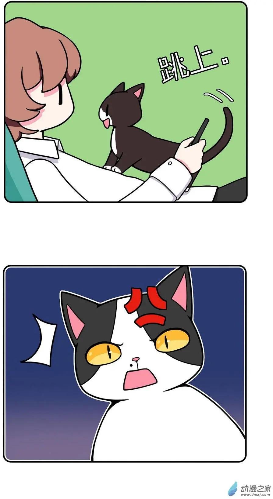 第14回