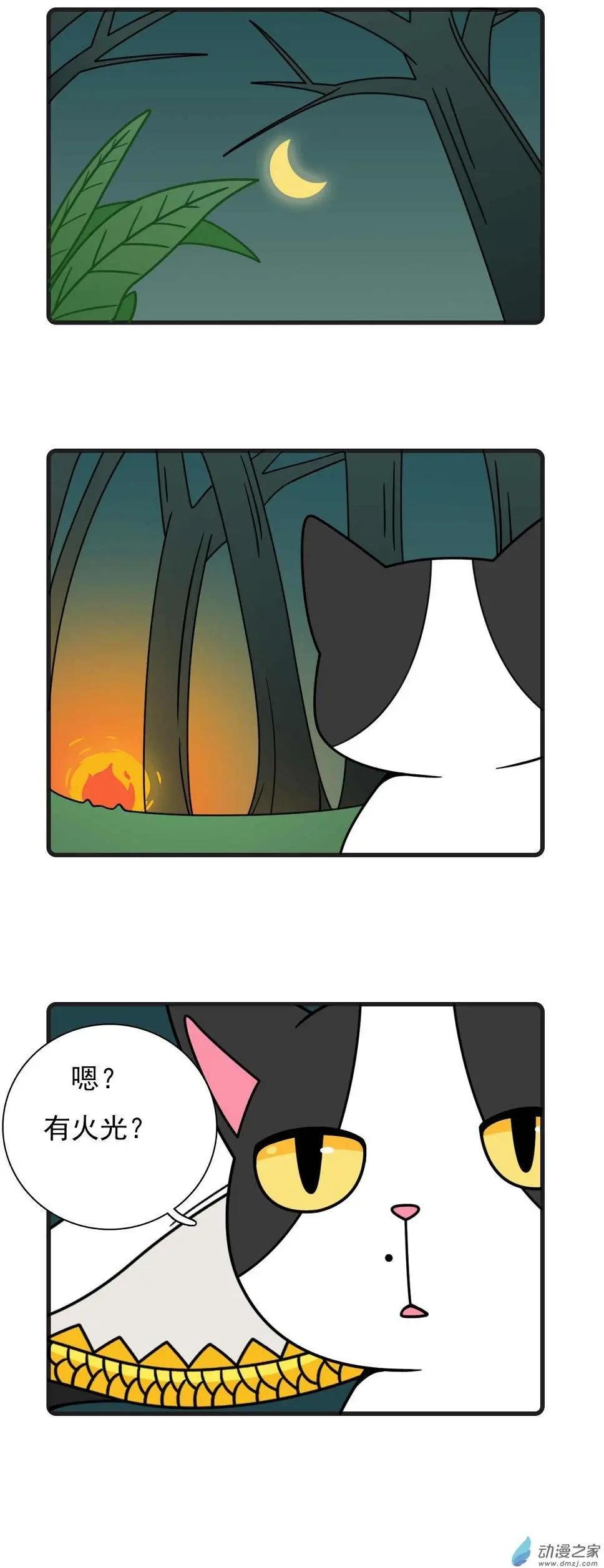 第15回