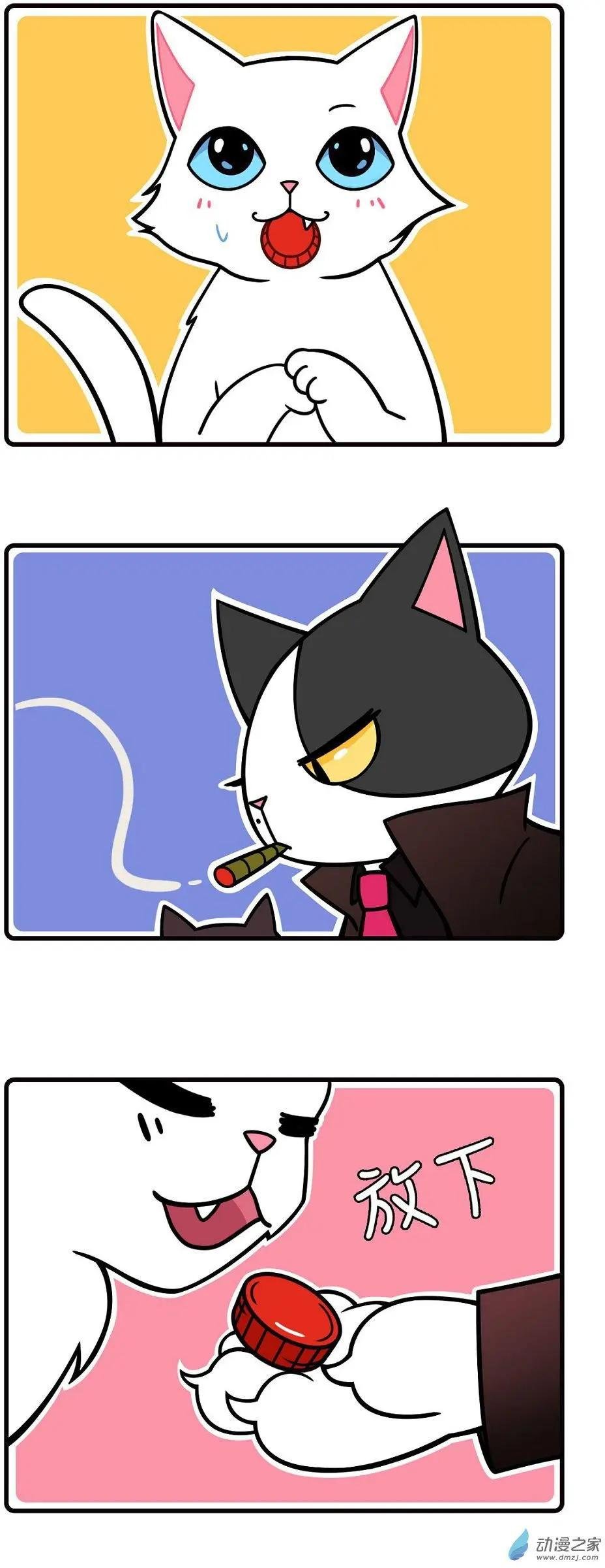 第16回