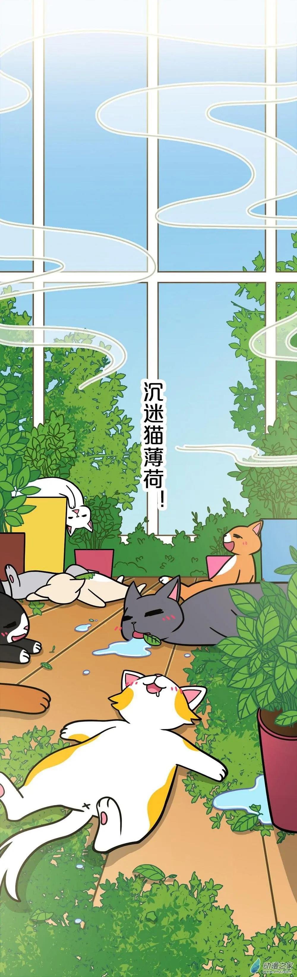 第16回