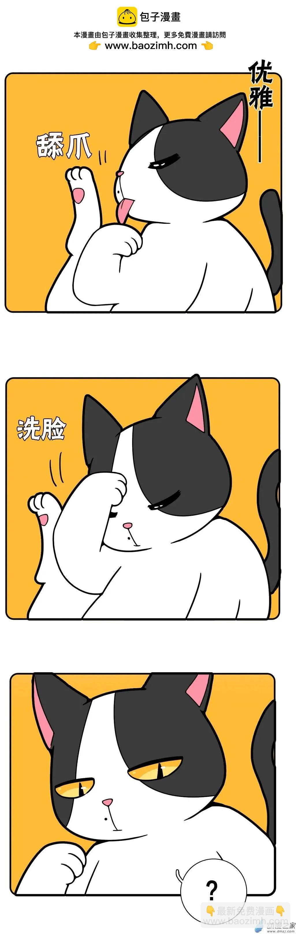 第17回