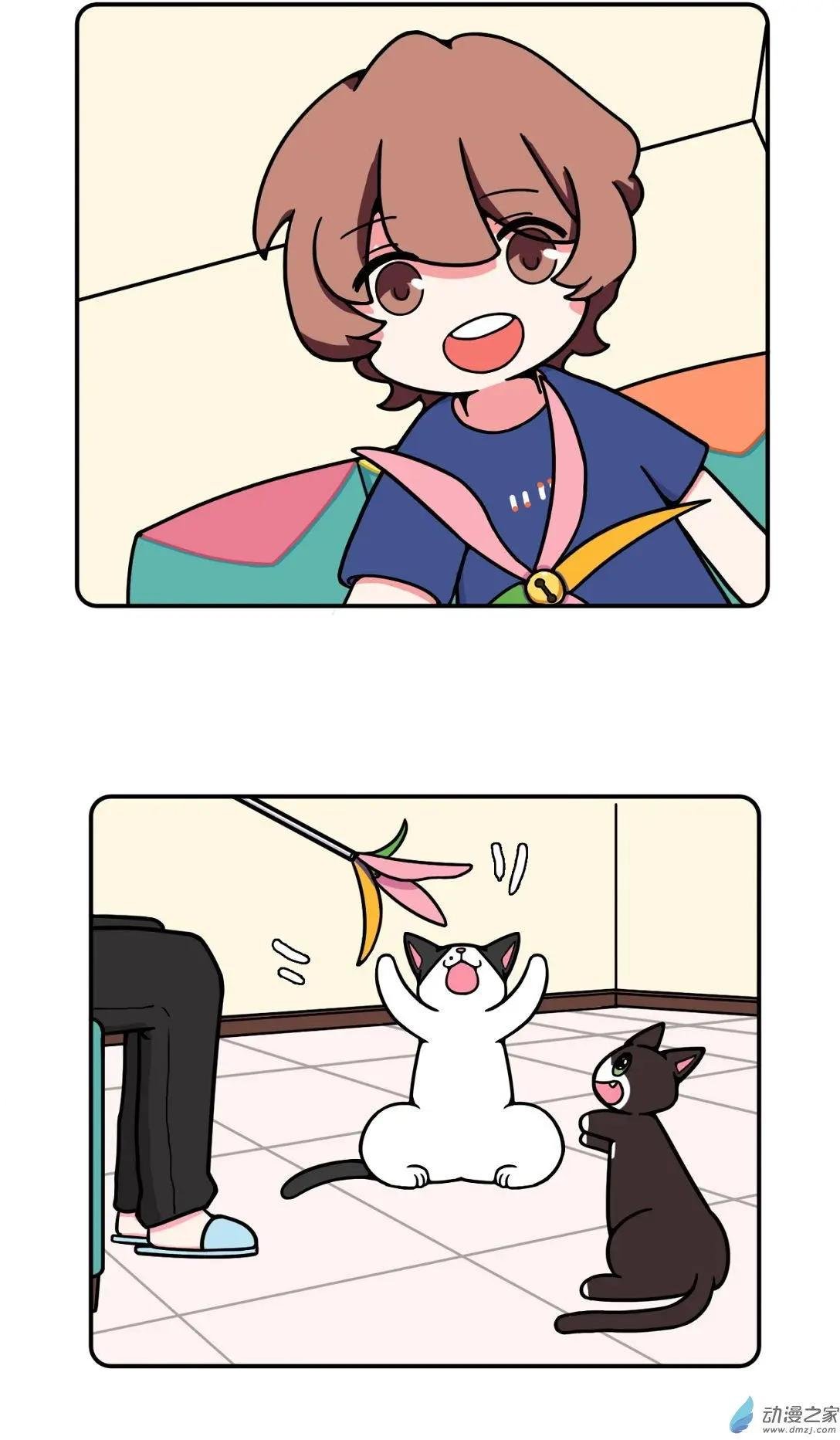 第17回