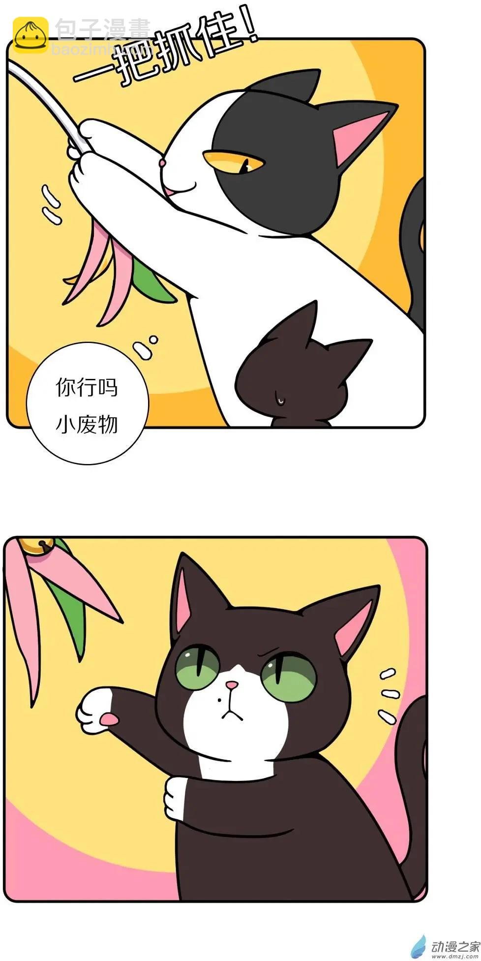 第17回