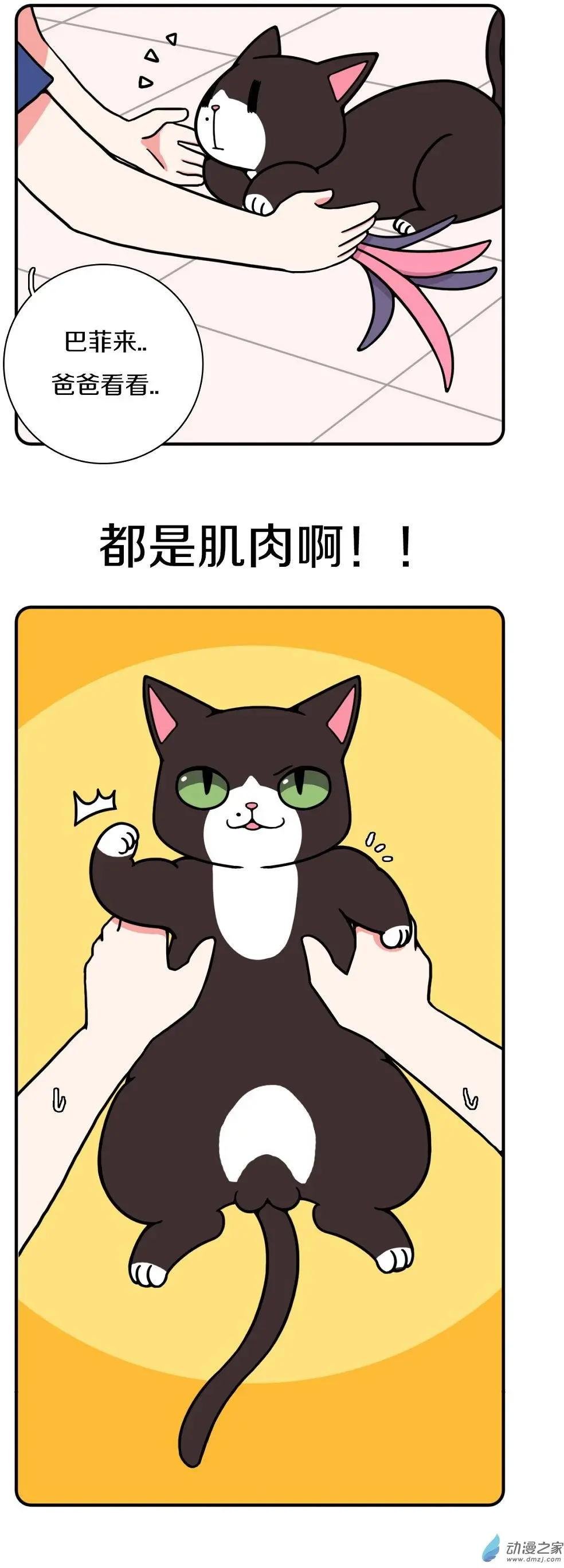 第17回