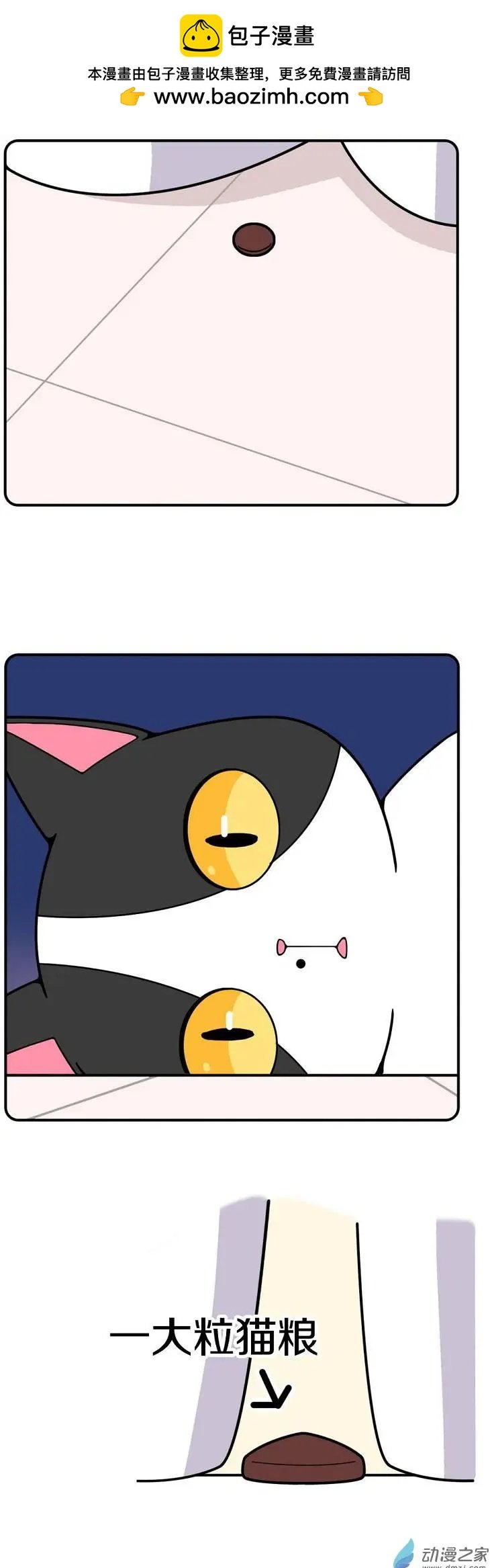 第19回