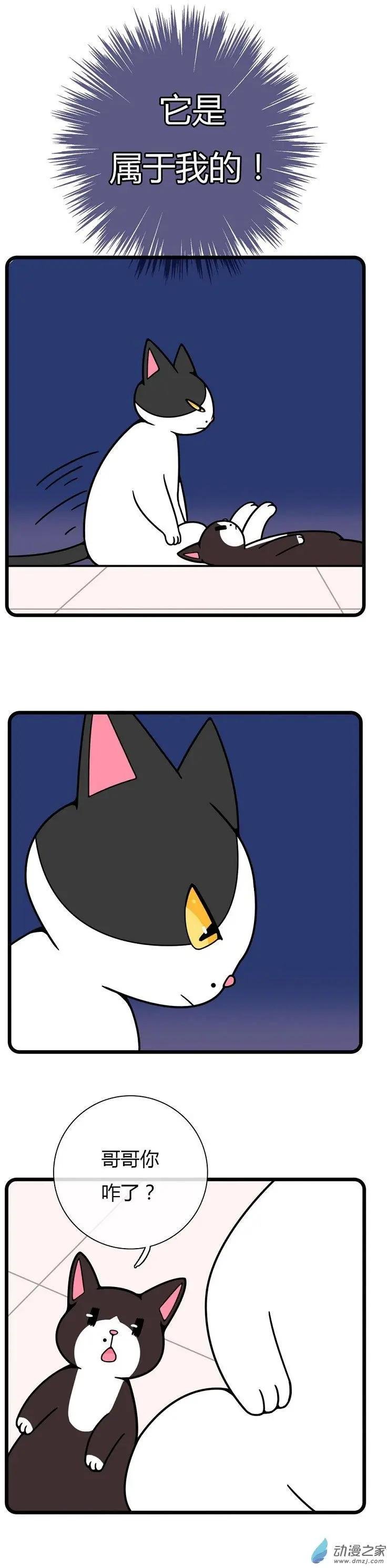 第19回