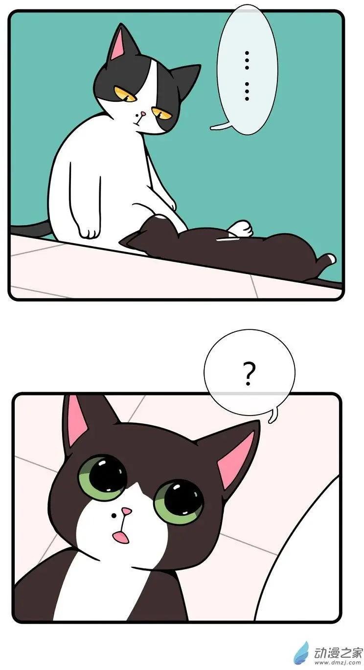 第19回