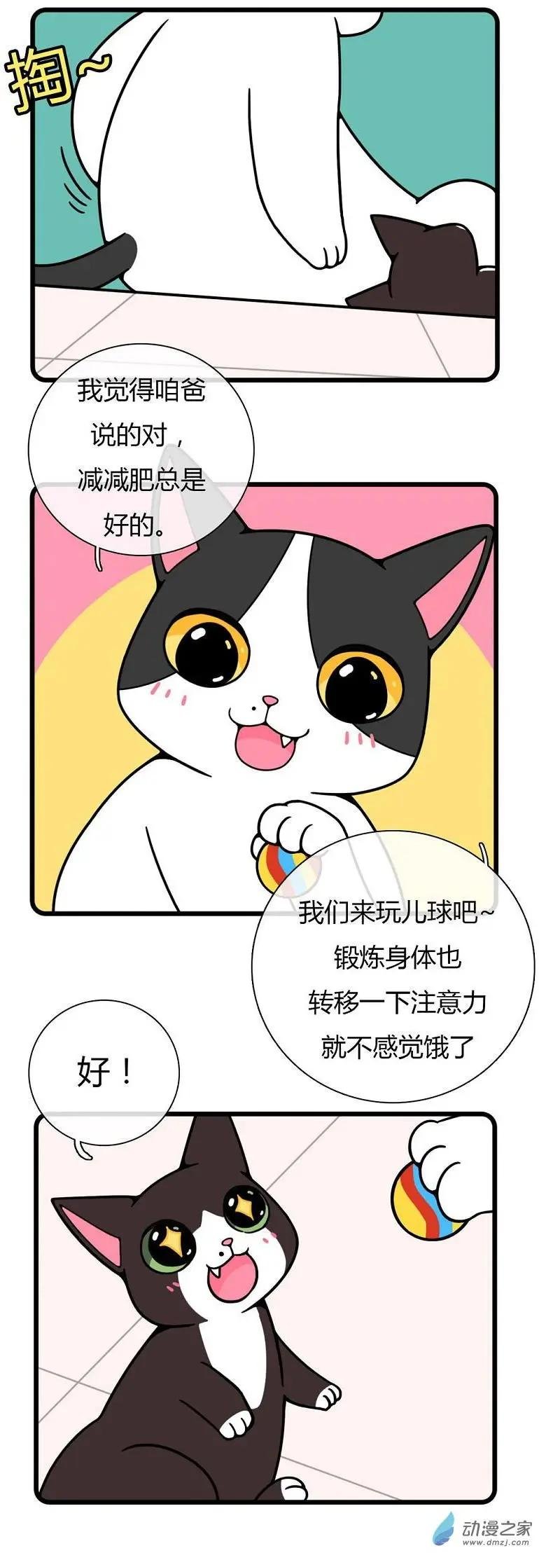 第19回